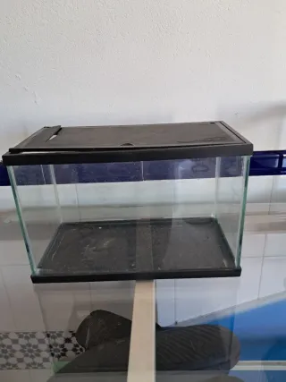 Pecera pequeña de plastico ( gambario)