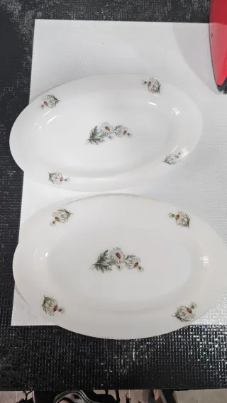 Fuentes vajilla Arcopal Margaritas