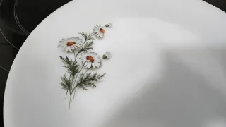 Fuentes vajilla Arcopal Margaritas