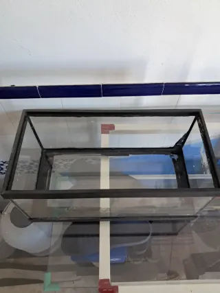 Pecera de cristal sin tapa ( gambario)