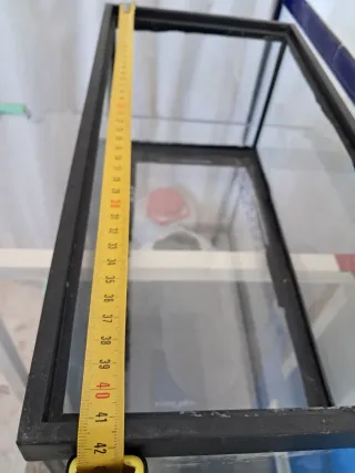 Pecera de cristal sin tapa ( gambario)