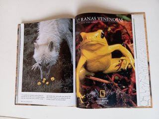 1 CD ZOO + FICHAS + LIBRO ANIMALES NATIONAL GEOGR.