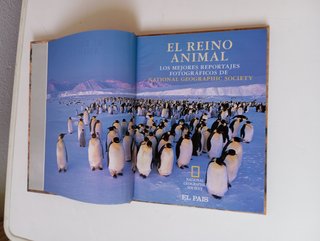 1 CD ZOO + FICHAS + LIBRO ANIMALES NATIONAL GEOGR.