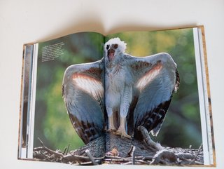 1 CD ZOO + FICHAS + LIBRO ANIMALES NATIONAL GEOGR.