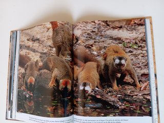 1 CD ZOO + FICHAS + LIBRO ANIMALES NATIONAL GEOGR.