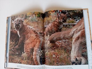 1 CD ZOO + FICHAS + LIBRO ANIMALES NATIONAL GEOGR.