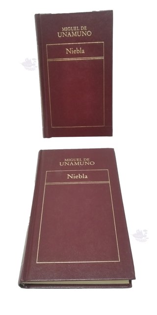 Lote 16 libros clásicos Orbis