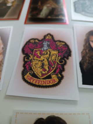 Colección Panini Harry Potter Manual Cromos