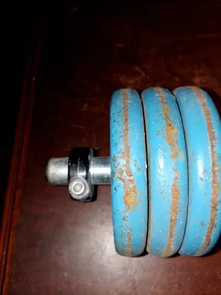 Manubri regolabili blu