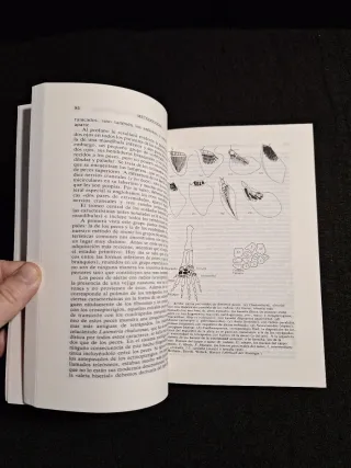 Konrad Lorenz. Fundamentos de la etología