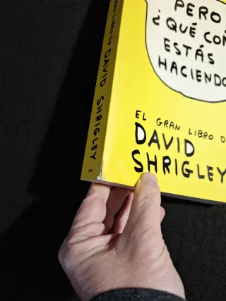 David Shrigley. ¿Pero qué coño estás haciendo?
