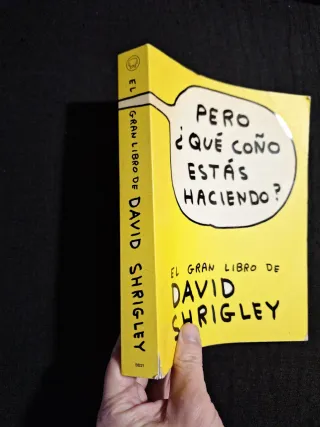 David Shrigley. ¿Pero qué coño estás haciendo?