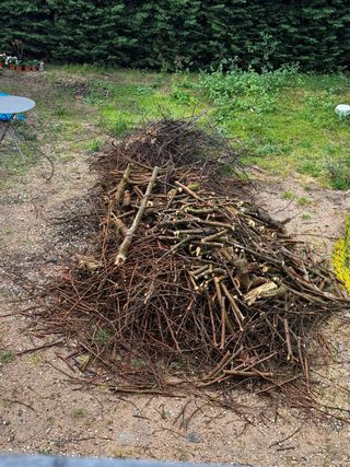 Leña y troncos para chimenea
