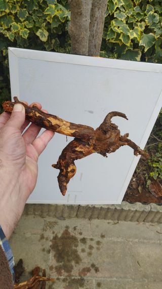 tronco de acuario pecera decorativo
