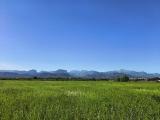 Casa rural en alquiler en Binissalem