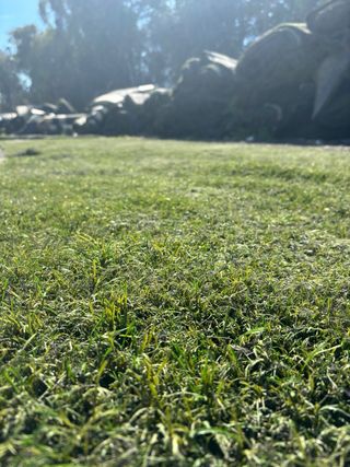 Césped Artificial Reciclado