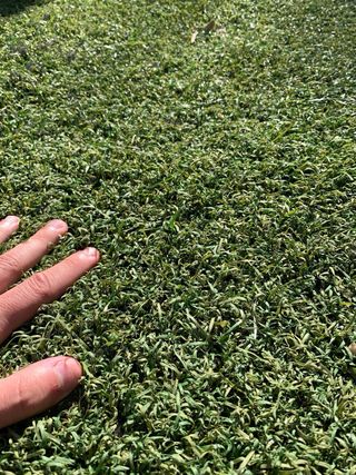 Césped Artificial Reciclado