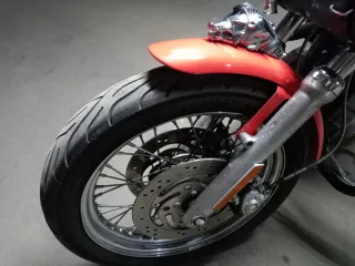 Harley Davidson 1200 Sportster. Muy cuidada.