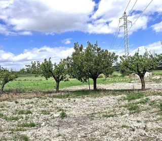 Terreno en venta en Santa Margalida en Santa Margalida