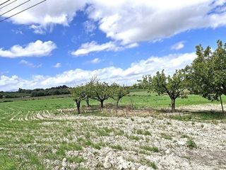 Terreno en venta en Santa Margalida en Santa Margalida