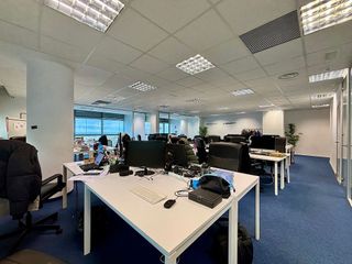 Oficina en alquiler en Pomar en Badalona