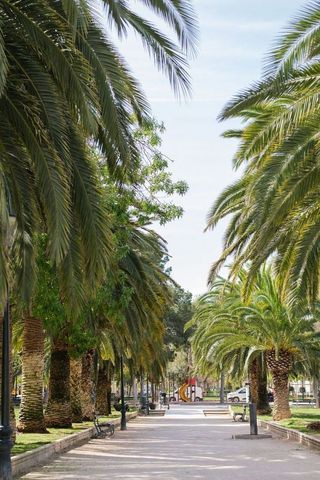 Piso en alquiler en San José en Zaragoza