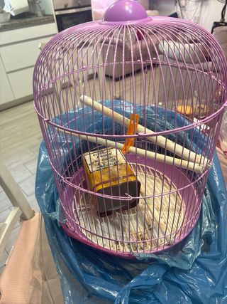 Jaula para pájaros