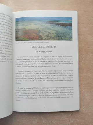 Lanzarote. Guia oficial.