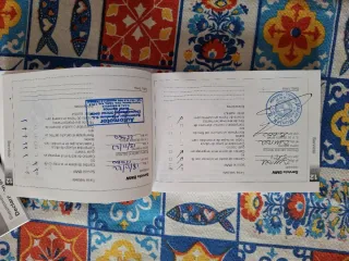 Manual Usuario BMW R1250RT 2019 Relojes sin TFT