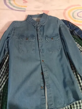 Lote 8 Camisas un polo y un pantalón de lino