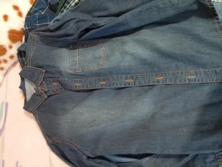 Lote 8 Camisas un polo y un pantalón de lino