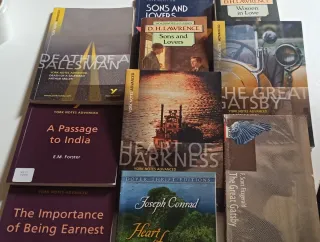 Lote 10 libros literatura inglesa y York Notes