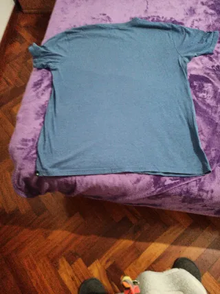 Camiseta DC Shoes Azul y Gris
