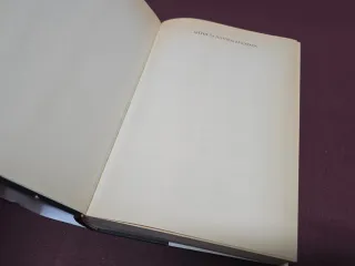 Neofascistas - Ferrán Gallego. 2004
