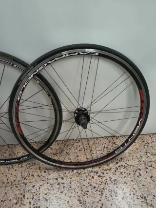 Juego Ruedas Bicicleta Campagnolo