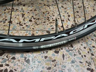 Juego Ruedas Bicicleta Campagnolo