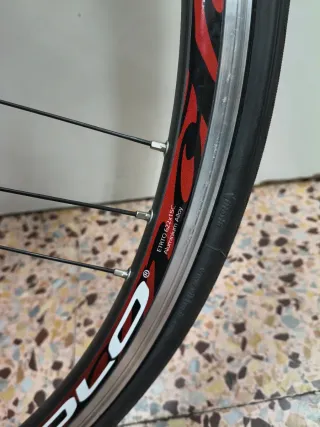 Juego Ruedas Bicicleta Campagnolo