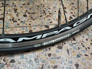 Juego Ruedas Bicicleta Campagnolo