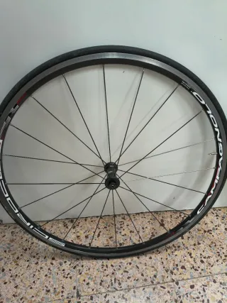 Juego Ruedas Bicicleta Campagnolo