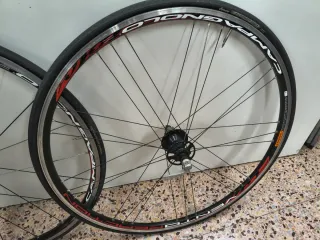 Juego Ruedas Bicicleta Campagnolo