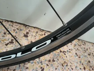Juego Ruedas Bicicleta Campagnolo