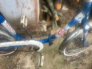 Bicicleta BH Clásica