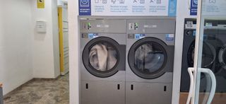 TRASPASO LAVANDERIA AUTOSERVICIO ELDA