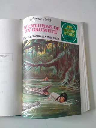 NÚMERO 29 JOYAS LITERARIAS JUVENILES PLANETA