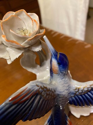 Colibrì  karl - Ens