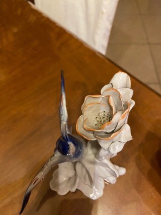 Colibrì  karl - Ens