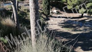 06260 Casa con terreno en venta en Molina de Segur