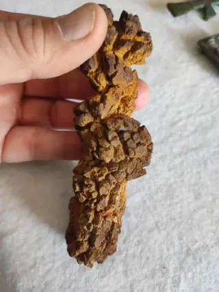 Coprolito Fosil Grande