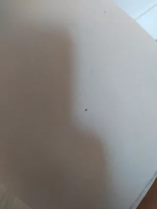 Maniquí Vintage Fibra Vidrio medio torso