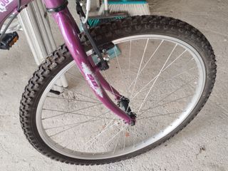 Bicicleta Mountain Series 50